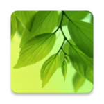 leaf live wallpaper android application logo